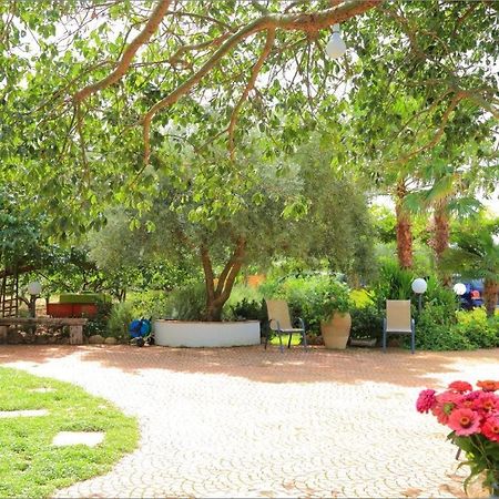 Villa Zahara Ribera Extérieur photo