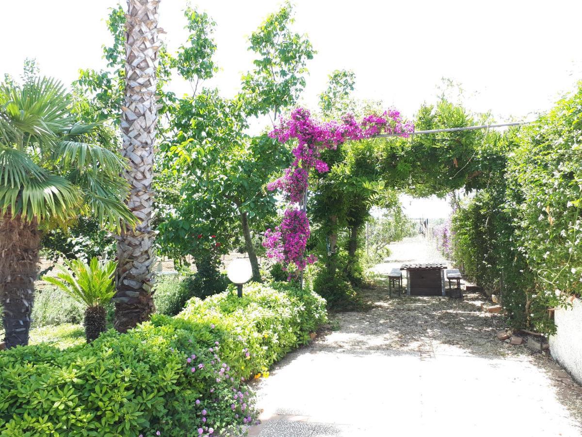 Villa Zahara Ribera Extérieur photo